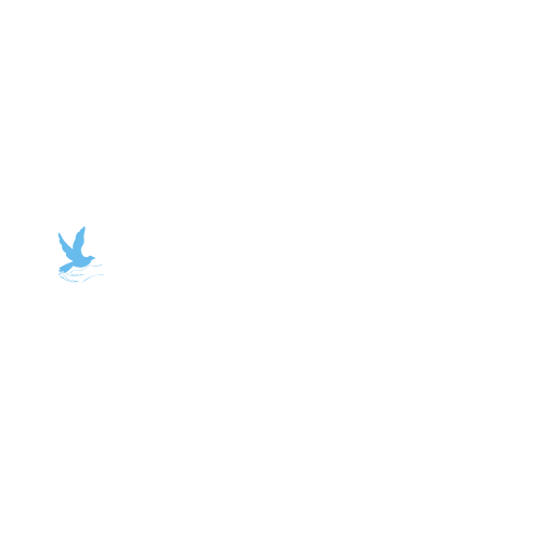logo sentieri di pace trasparente